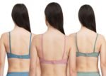 Full Coverage Solid Padded Non-Wired T-Shirt Daily Wear Bra (Pack of 3) (Blue, Green & Pink) - Image 2